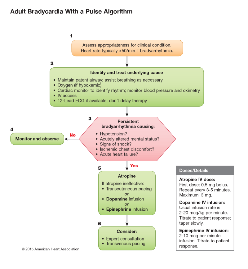 ACLS AHA2020準拠 ACLS AHAガイドライン2020準拠